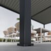 detailed picture intro plus 3 2